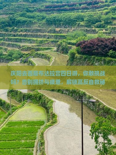 庆阳去西藏布达拉宫四日游