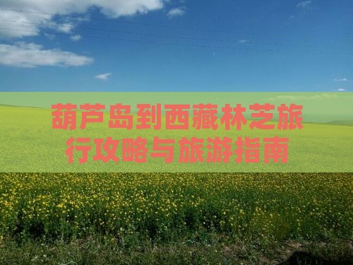 葫芦岛到西藏林芝旅行社