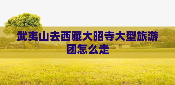 武夷山去西藏大昭寺大型旅游团