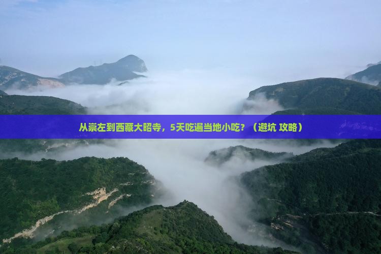 崇左去西藏大昭寺旅游小吃