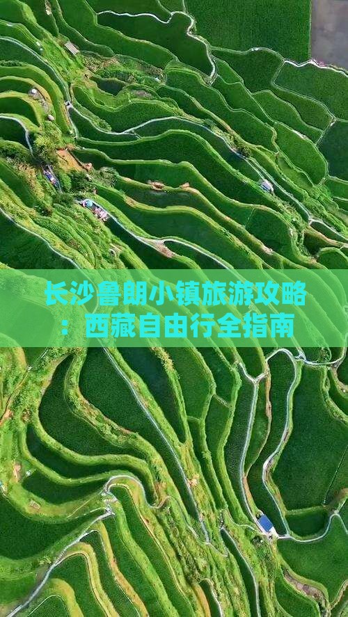 长沙去西藏鲁朗小镇自由行