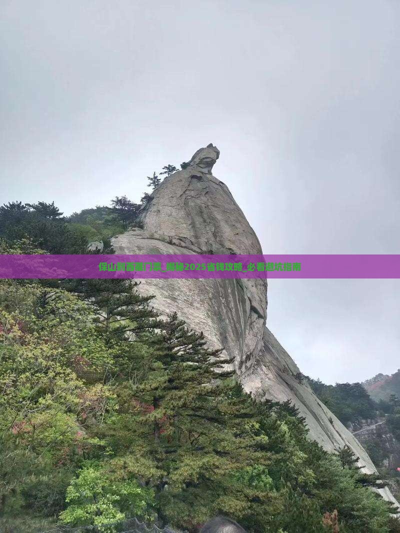 保山到西藏门票