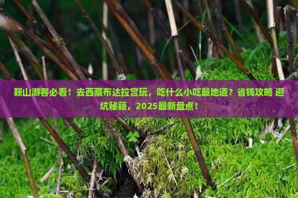 鞍山到西藏布达拉宫旅游小吃