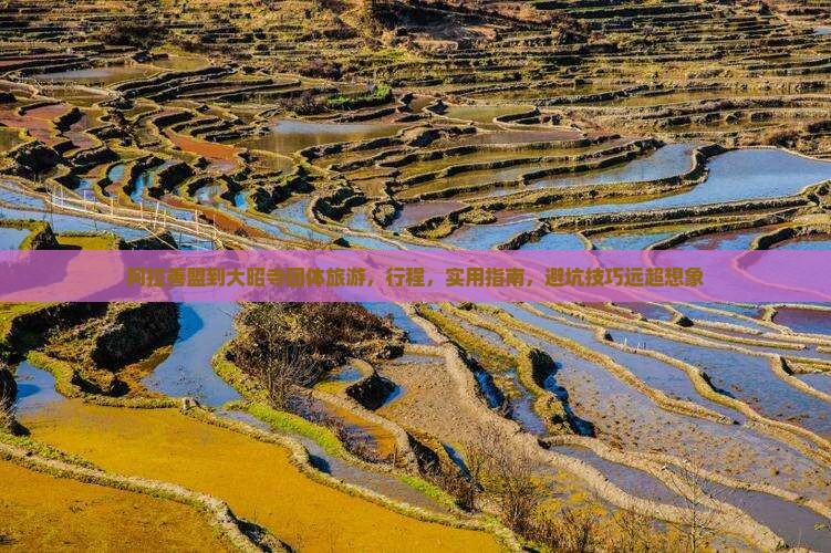 阿拉善盟到西藏大昭寺团体旅游