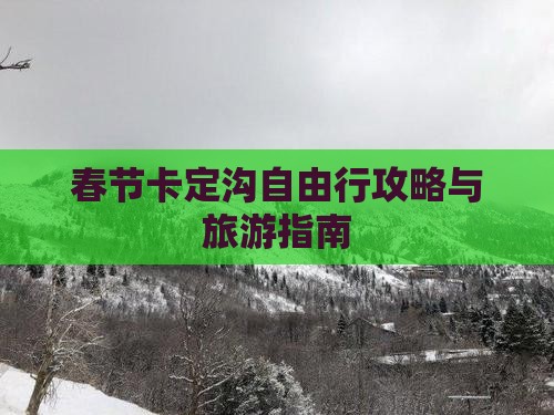 春节到西藏卡定沟自由行