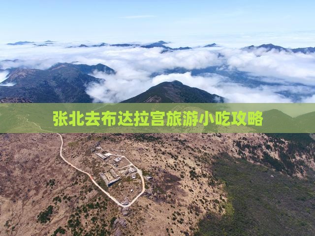 张北去西藏布达拉宫旅游小吃