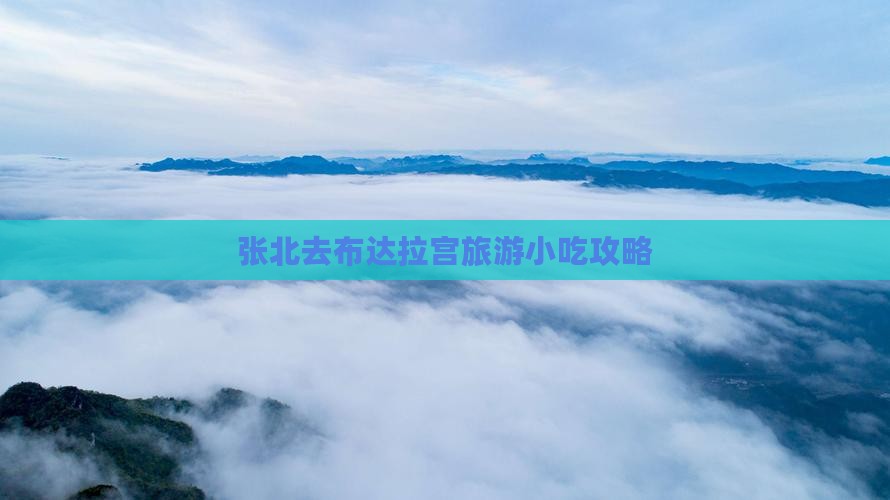 张北去西藏布达拉宫旅游小吃