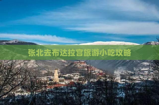 张北去西藏布达拉宫旅游小吃