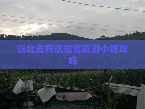 张北去西藏布达拉宫旅游小吃