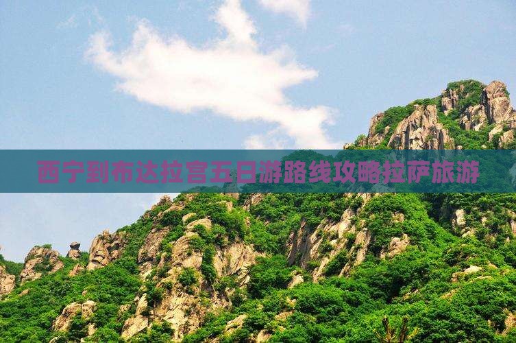 西宁到西藏布达拉宫五日游