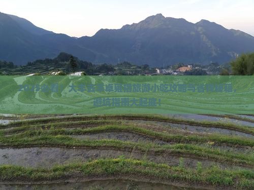 大丰去西藏羊卓雍措旅游小吃