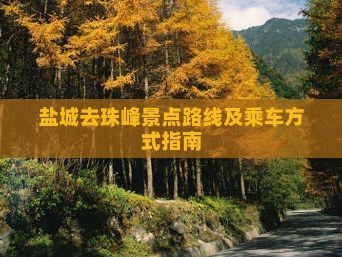 盐城去西藏珠峰大本营景点