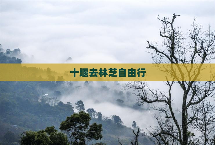 十堰去西藏林芝自由行