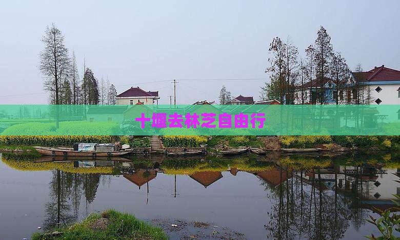 十堰去西藏林芝自由行