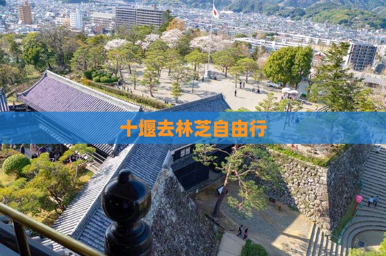 十堰去西藏林芝自由行