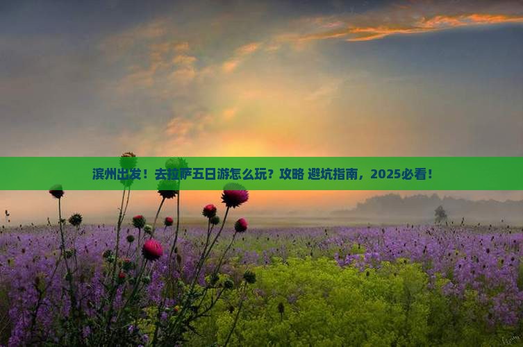 滨州去西藏拉萨五日游
