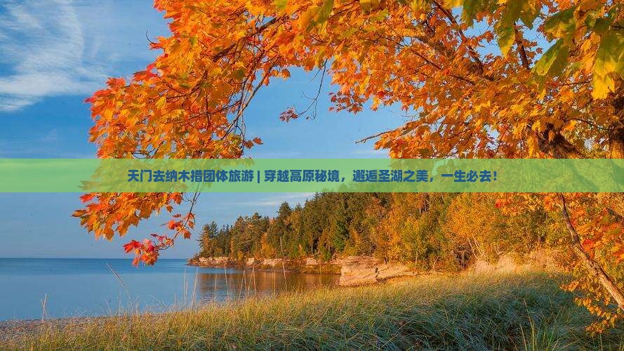 天门去西藏纳木措团体旅游