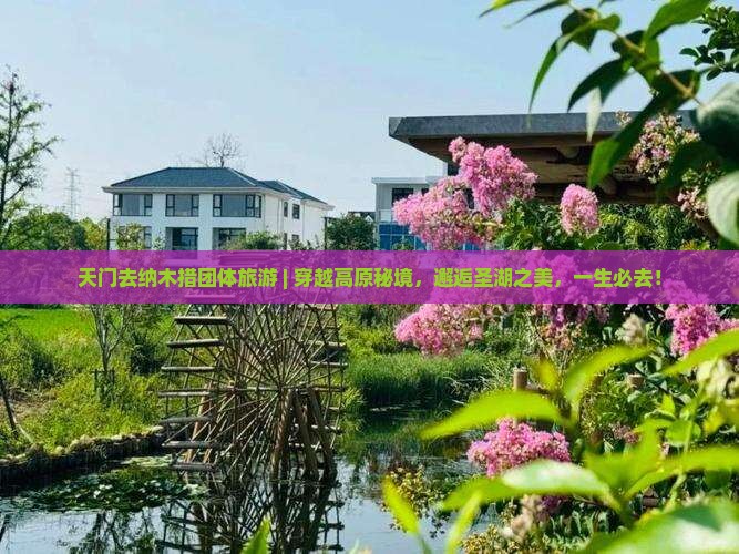 天门去西藏纳木措团体旅游