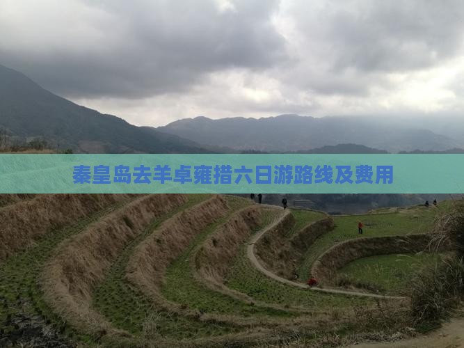 秦皇岛去西藏羊卓雍措六日游