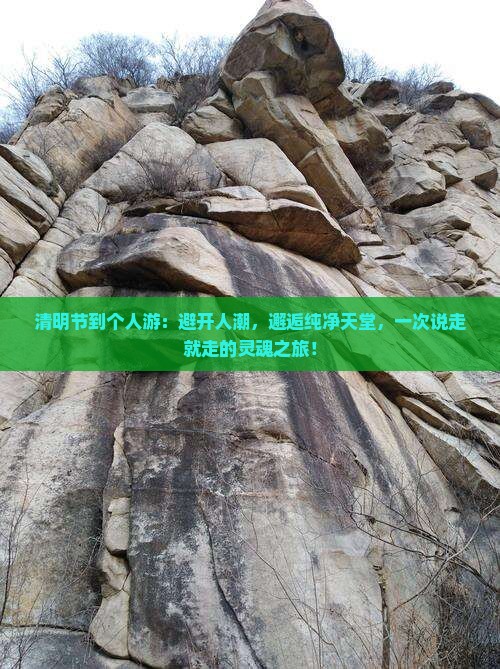 清明节到西藏个人游