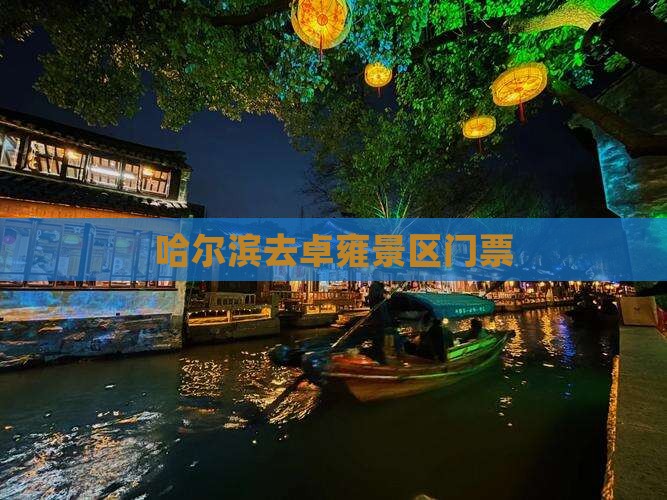哈尔滨去西藏羊卓雍措门票
