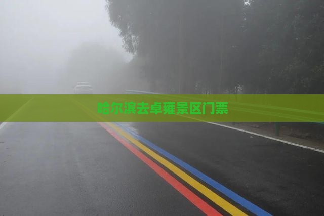 哈尔滨去西藏羊卓雍措门票