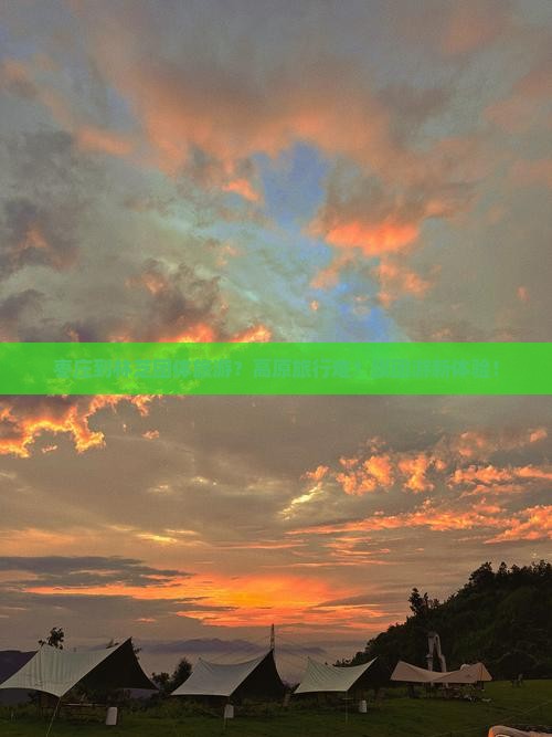 枣庄到西藏林芝团体旅游