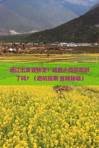 通辽市去西藏林芝旅游小吃