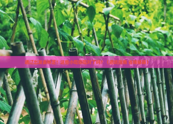通辽市去西藏林芝旅游小吃