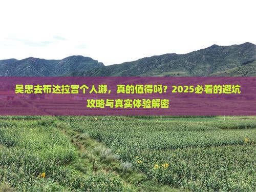 吴忠去西藏布达拉宫个人游