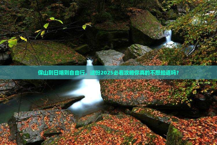 保山到西藏日喀则自由行