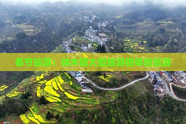 春节去西藏纳木措大型旅游团