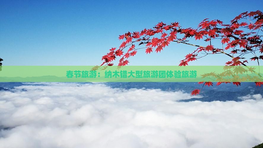 春节去西藏纳木措大型旅游团