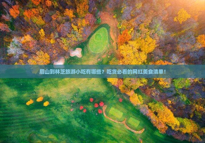 眉山到西藏林芝旅游小吃