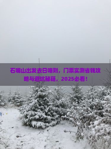 石嘴山去西藏日喀则门票