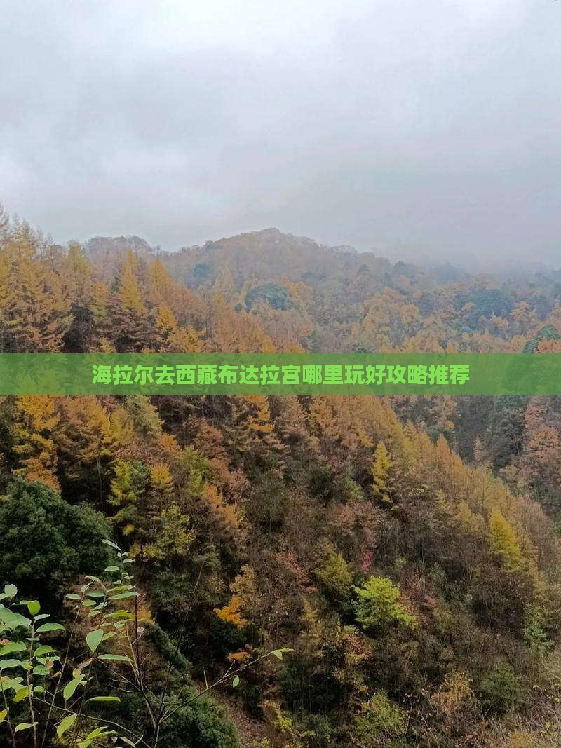 海拉尔去西藏布达拉宫哪里玩