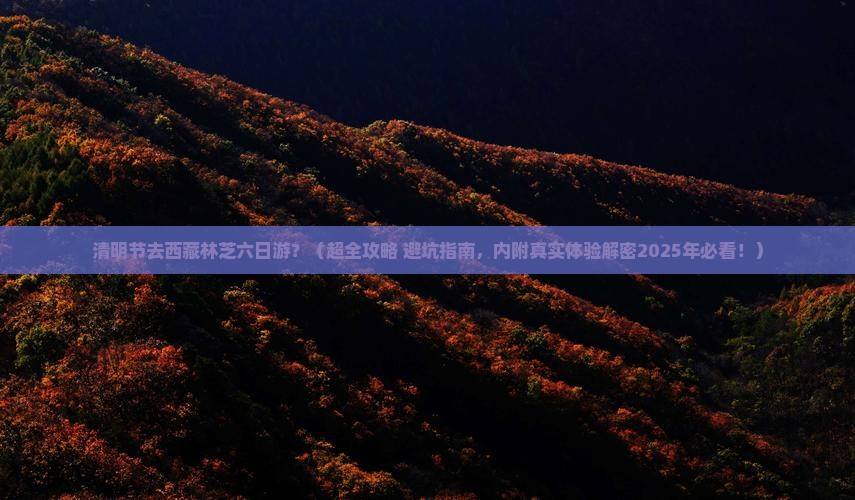 清明节到西藏林芝六日游