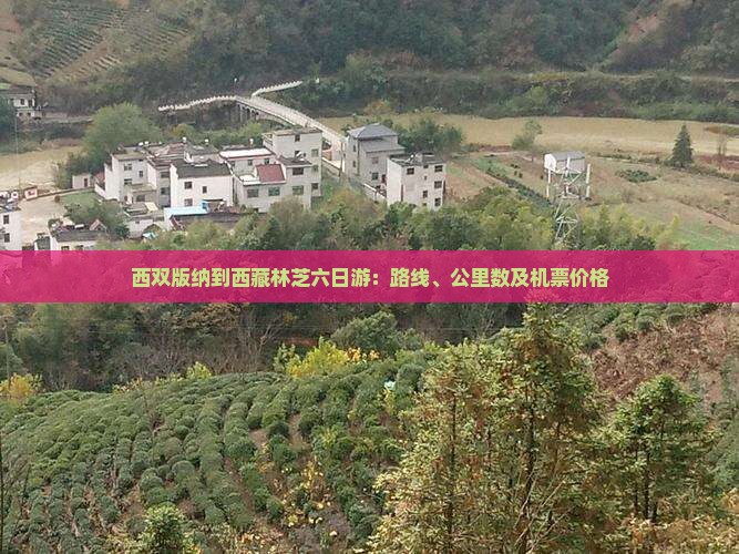 西双版纳到西藏林芝六日游