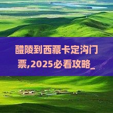醴陵到西藏卡定沟门票