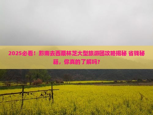 黔南去西藏林芝大型旅游团
