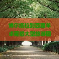 博尔塔拉到西藏羊卓雍措大型旅游团