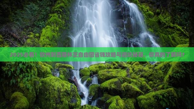 钦州到西藏林芝自由团
