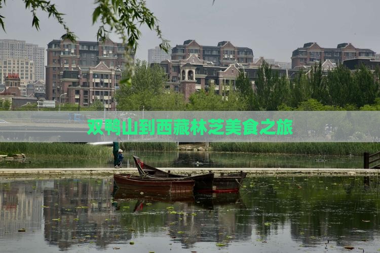 双鸭山到西藏林芝旅游小吃