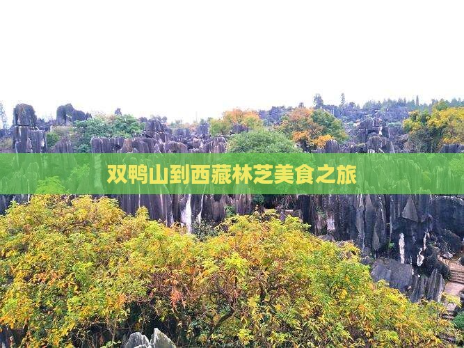 双鸭山到西藏林芝旅游小吃