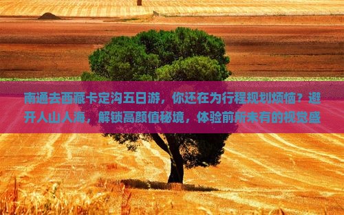 南通去西藏卡定沟五日游