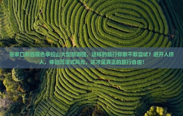 张家口到西藏色季拉山大型旅游团