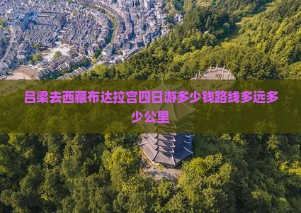 吕梁去西藏布达拉宫四日游