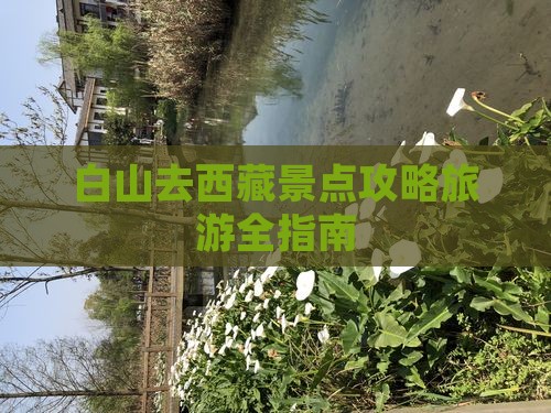白山去西藏景点