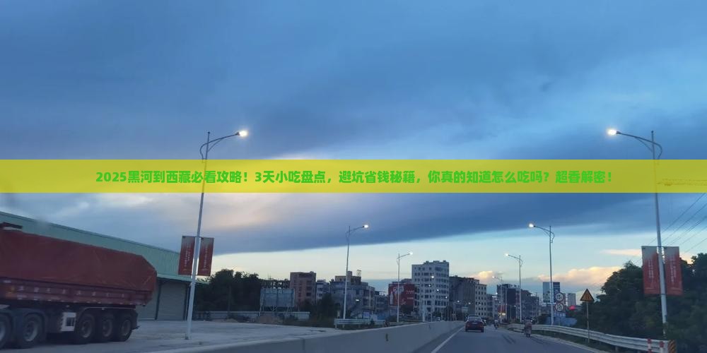 黑河到西藏旅游小吃