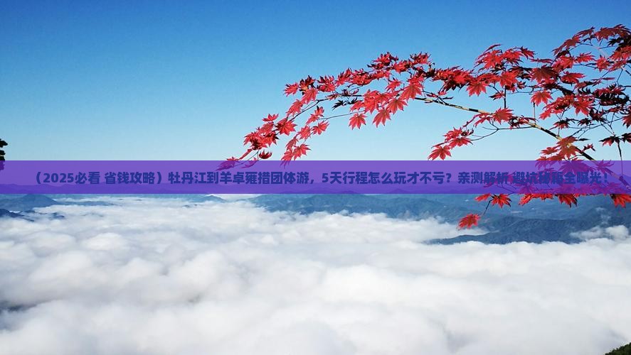 牡丹江到西藏羊卓雍措团体旅游
